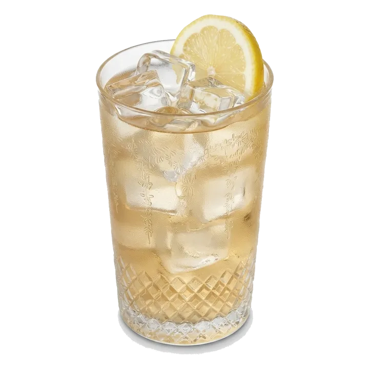 Gin Punch No. 1