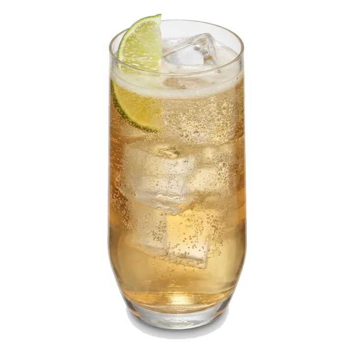 Dublin Spider Highball