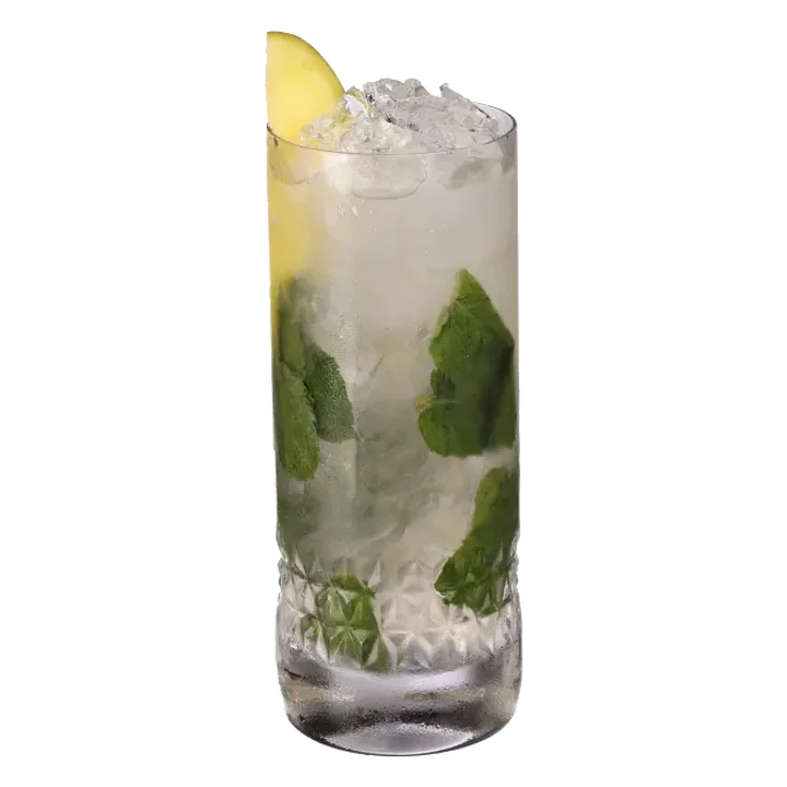 Mónica's Mango Mojito