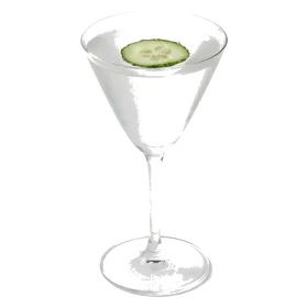 Saketini