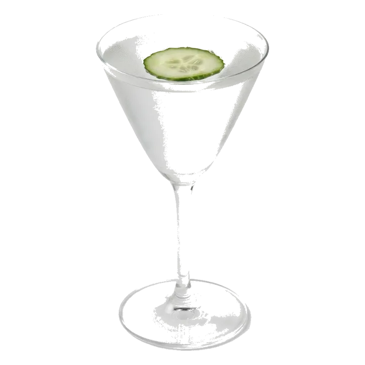 Saketini