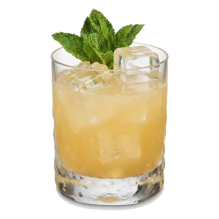 Bourbon Smash