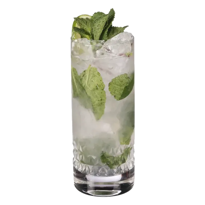 Marine Mojito