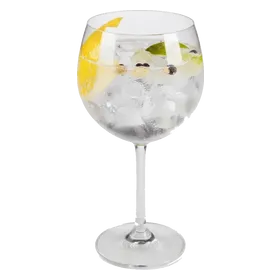 Gin Tonica