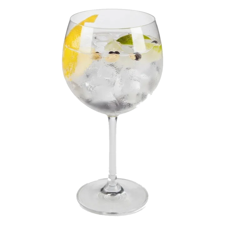 Gin Tonica