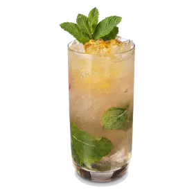 Passion Fruit Mojito