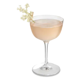 Fleur de Paradis