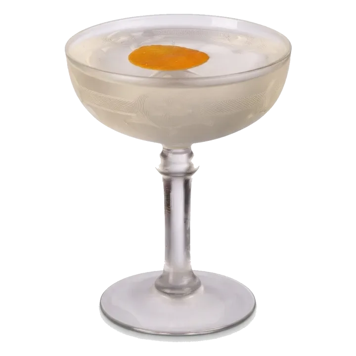 Snyder Martini