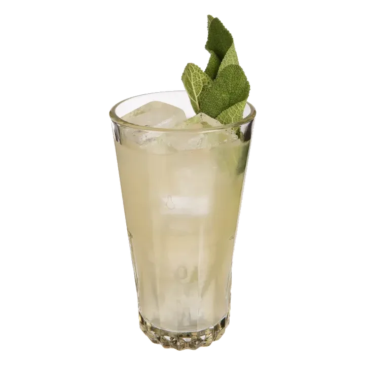 The Lemon Peel