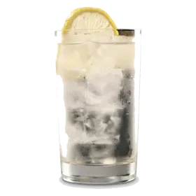 Porto Tónico (White Port and Tonic)
