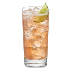 Lemon Lime and Bitters