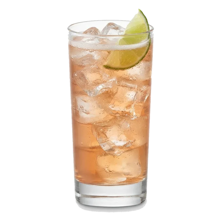 Lemon Lime and Bitters