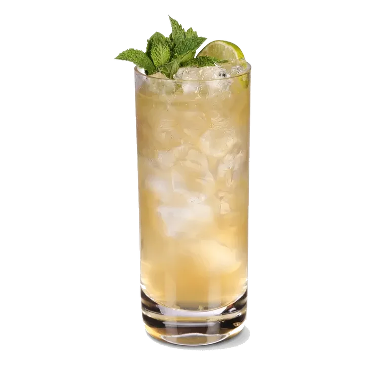 Bourbon Mule