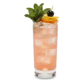 Gin Daisy (modern and tall)
