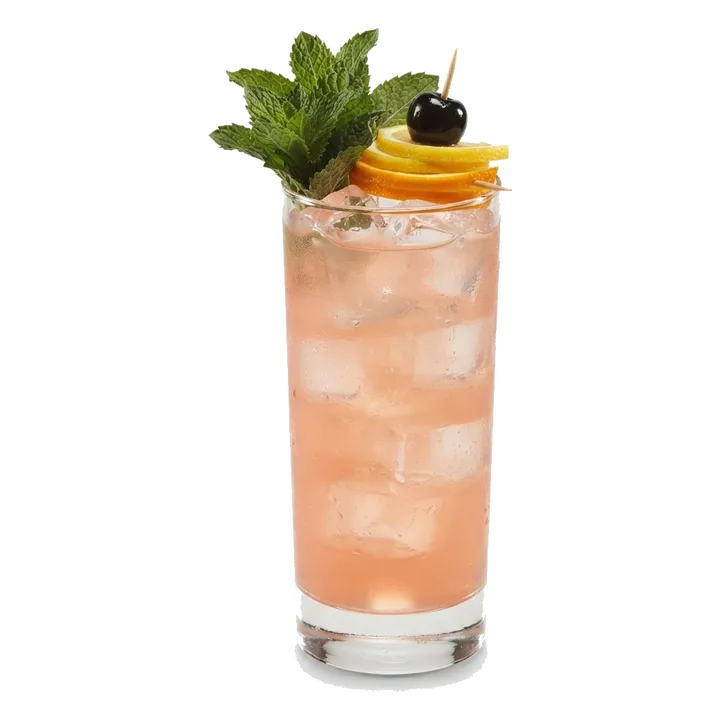 Gin Daisy (modern and tall)