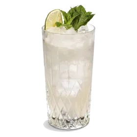Mexican Mule