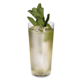 Gin Gin Mule
