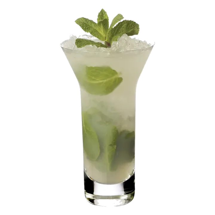 Temperance Apple Mojito