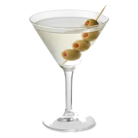 Bradford Martini