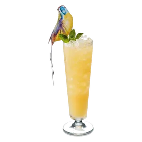 Potted Parrot
