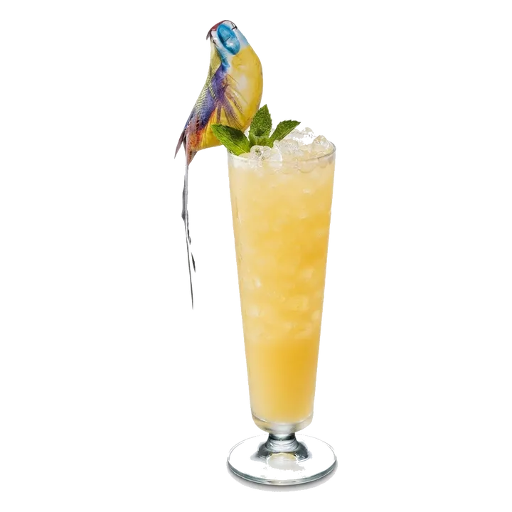 Potted Parrot