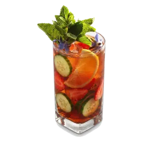 Fruit Cup No.1 (gin based and Pimm's Cup-like)