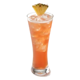 Georgetown Punch