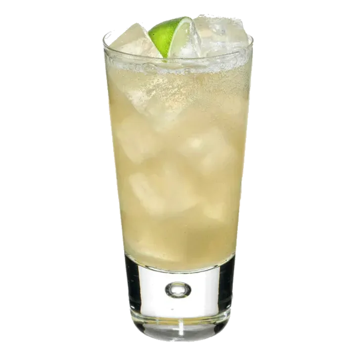 Ginger Punch