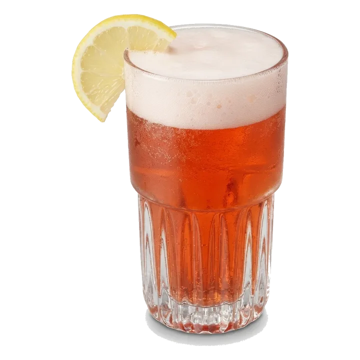 Sloe Gin Fizz