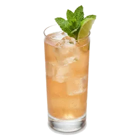 Dutch Mule