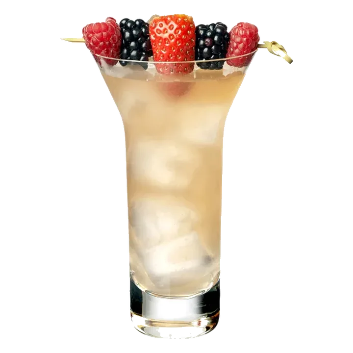 Gin Punch No. 2