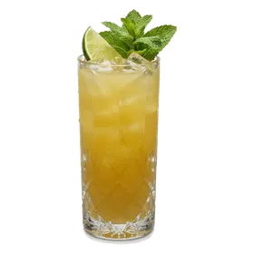 Swamp Water