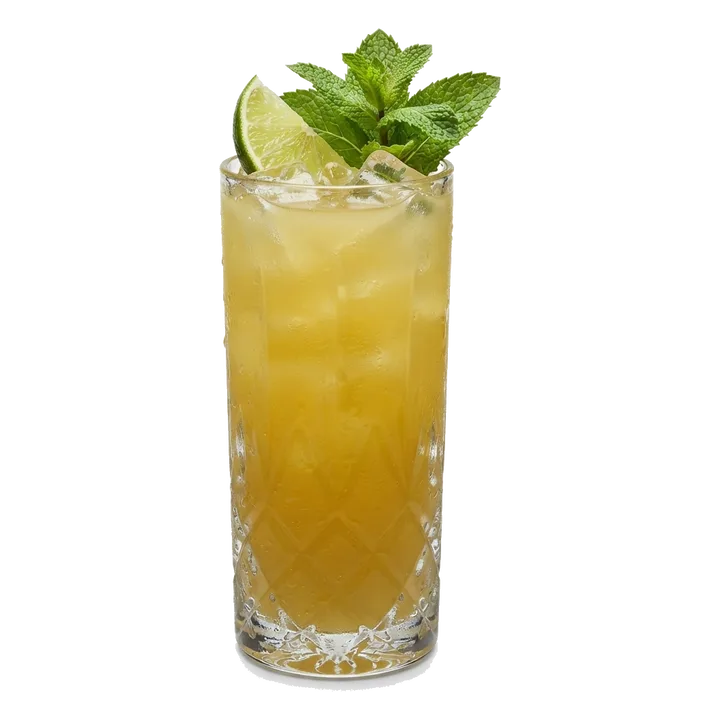 Swamp Water