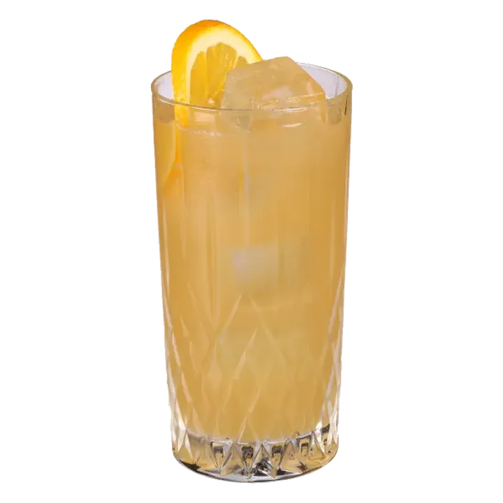 Havana Rum Punch