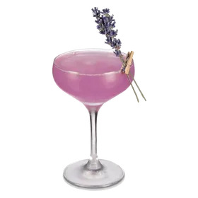 Floral Daiquiri