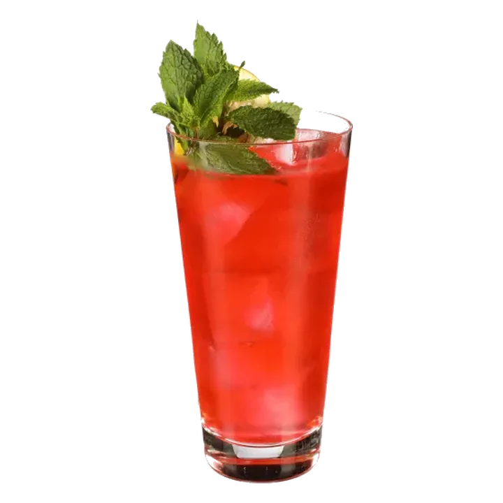 Watermelon Fizz