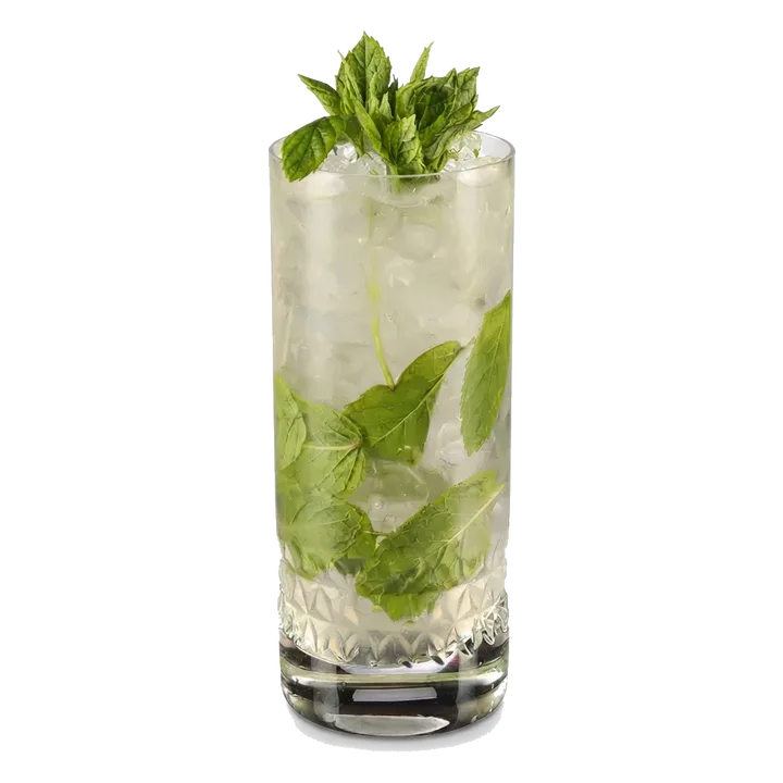 Elderflower Mojito