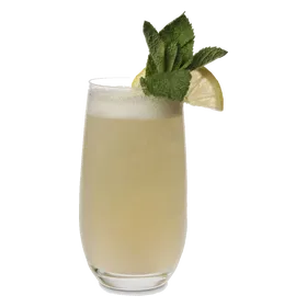 Elderflower Gin Fizz