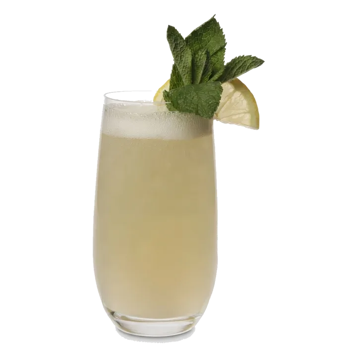 Elderflower Gin Fizz