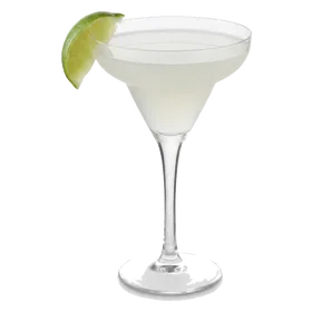 Saúco Margarita