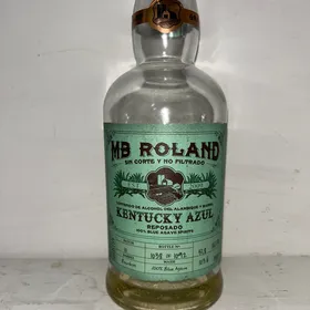 MB Roland Kentucky Azul