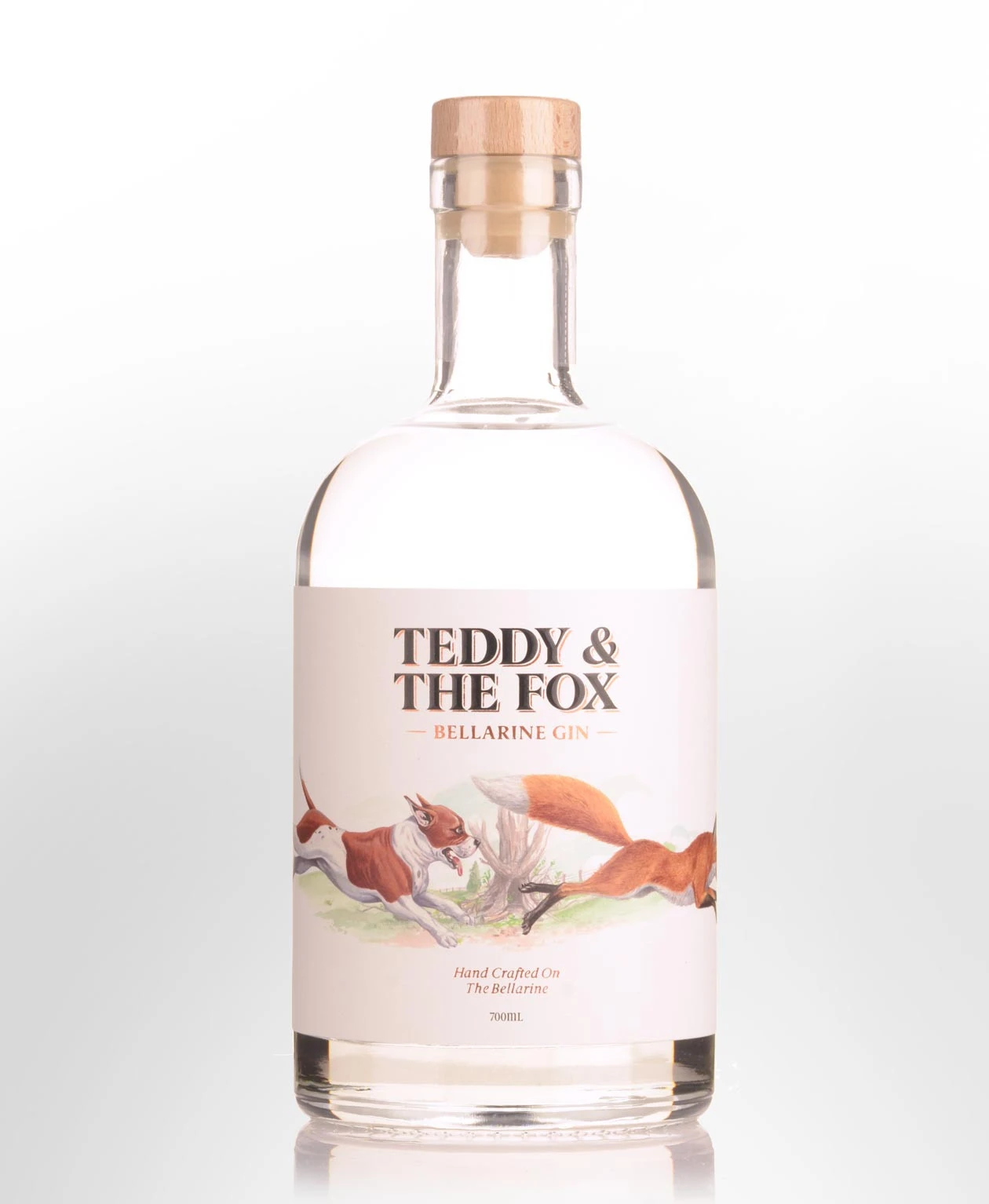 Teddy and the Fox