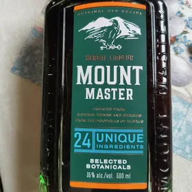 Mount Master