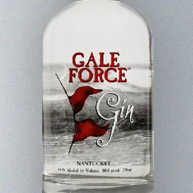 Gale Force Gin