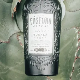 Fósforo Tobalá Penca