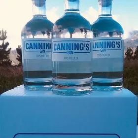 Canning's gin