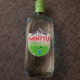 Minttu Polar Pear