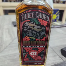 Three Chord Backstage Series "Taking Back Sunday"