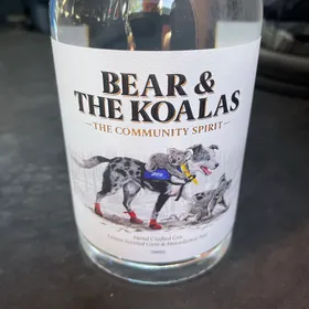 Bear And The Koalas