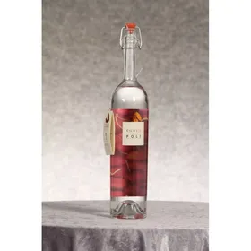 Ciliegie di Poli (Kirsch)